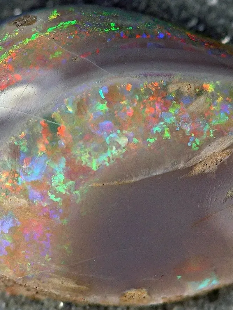 Iridescent nacre inside an opalised fossil shell